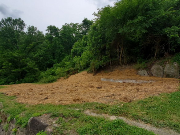 319 Oak Street, Nelsonville, Ohio