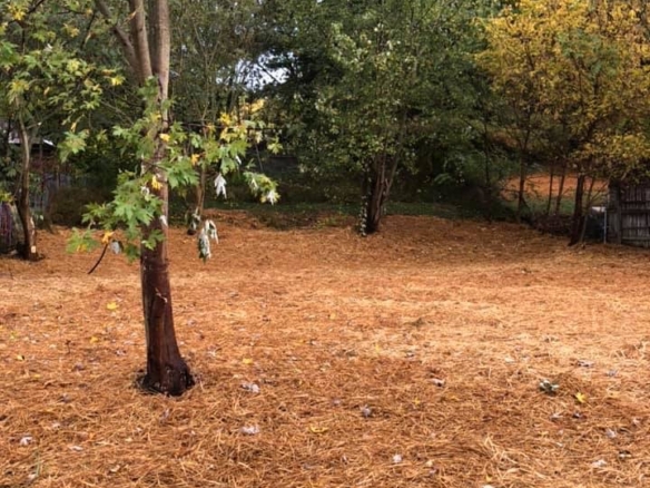 62 Grover Street, Nelsonville