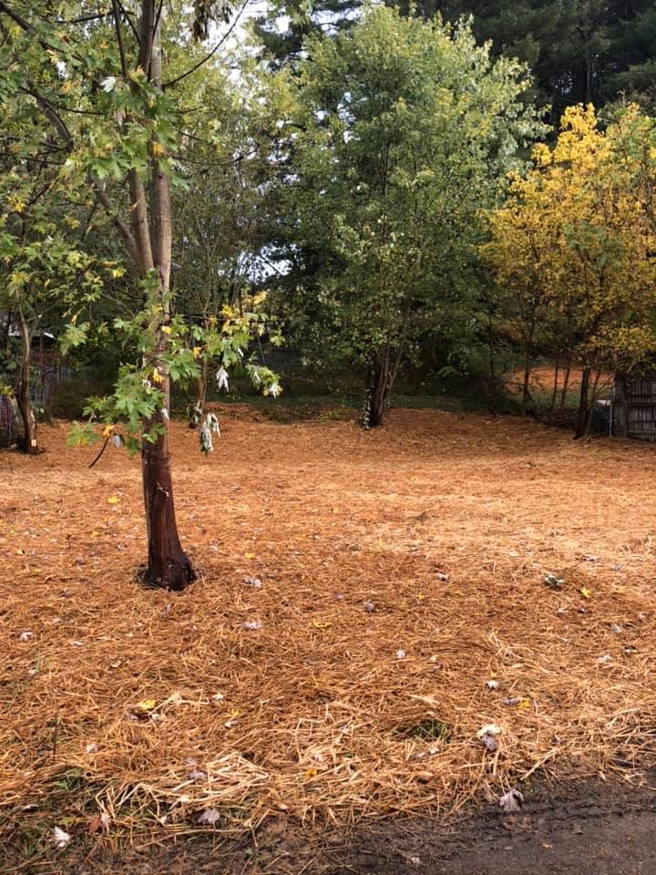 62 Grover Street, Nelsonville